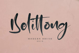 Belittong: A Script Handwritten Font That Breathes Life into Your Designs