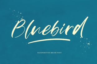 Bluebird: The Script Handwritten Font That Elevates Your Campaigns