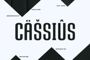 Cassius: A Bold Sans Serif Font for Standout Digital Design