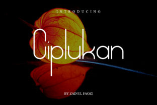 Ciplukan: A Modern Sans Serif Font for Smart Campaign Design