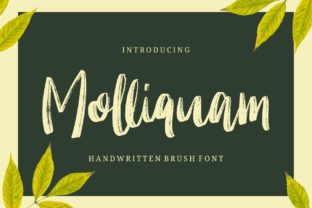 Molliquam: A Timeless Script Handwritten Font