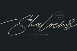 Shaloems: The Font That Transformed My Bakery’s Brand