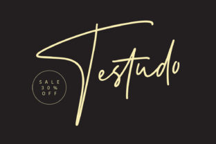 Testudo: A Bold Script Font for Creative Design
