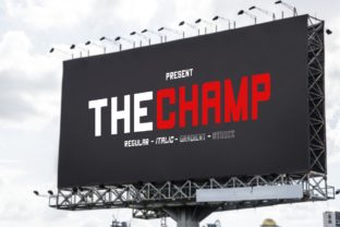 The Champ: A Versatile Sans Serif Font for Creative Crafters